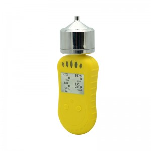 Composite portable gas detector