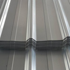 Zinc Coated Hot Dip Galvanized Steel Coil/Sheet/Plate Iron Steel