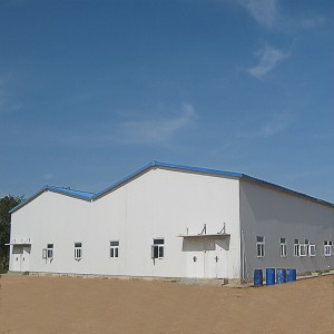 Private customized guaranteed steel structure prefabricated warehouse and workshop
