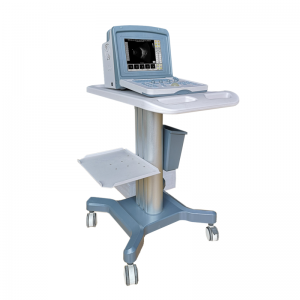 China Wholesale Digital Fundus Camera Pricelist –  Ophthalmology AB Ultrasound Diagnostic Apparatus(AB) – SDK