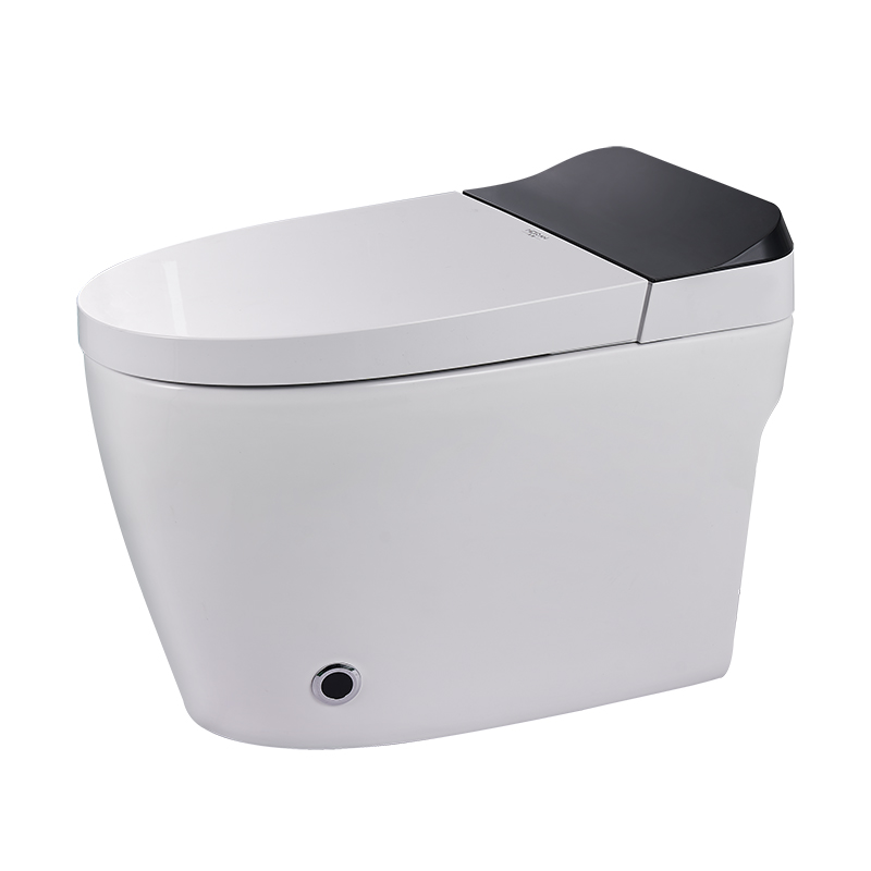 Smart toilet -Y5A