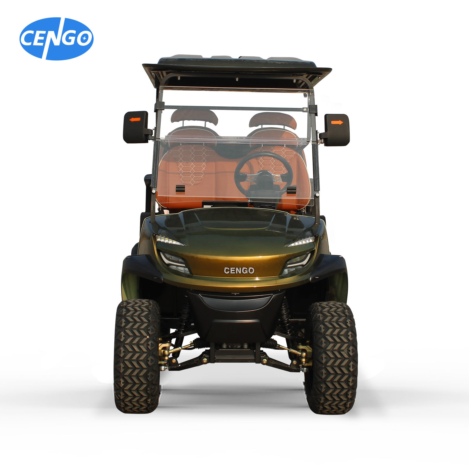 new arrival electric lifted golf cart 4 seats community use