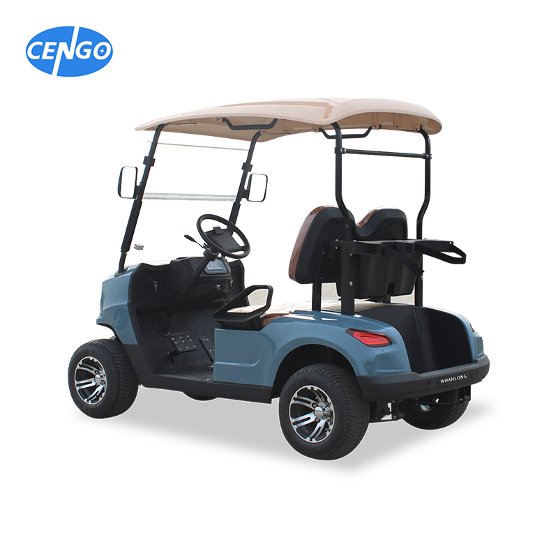 Golf Kart 2 Passenger Suitable for Fancy Golf Carts