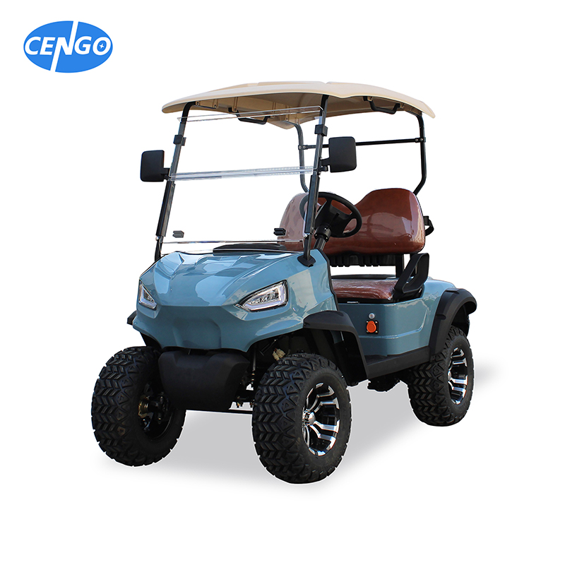 Electric Golf Cart Hunting 2 Passenger with 5KW AC Motor