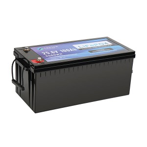 24V 100Ah LiFePO4 Battery CP24100