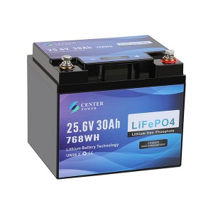 24V 30Ah LiFePO4 Battery CP24030