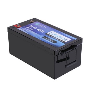 36V 80Ah LiFePO4 Battery CP36080