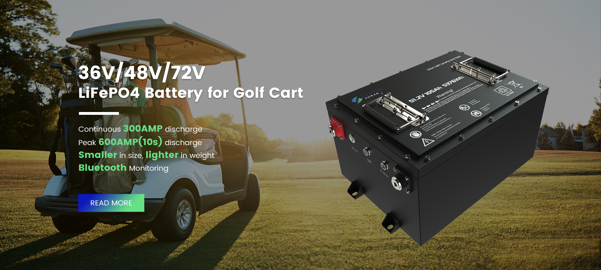 LiFePO4 Golf Carts Batteries