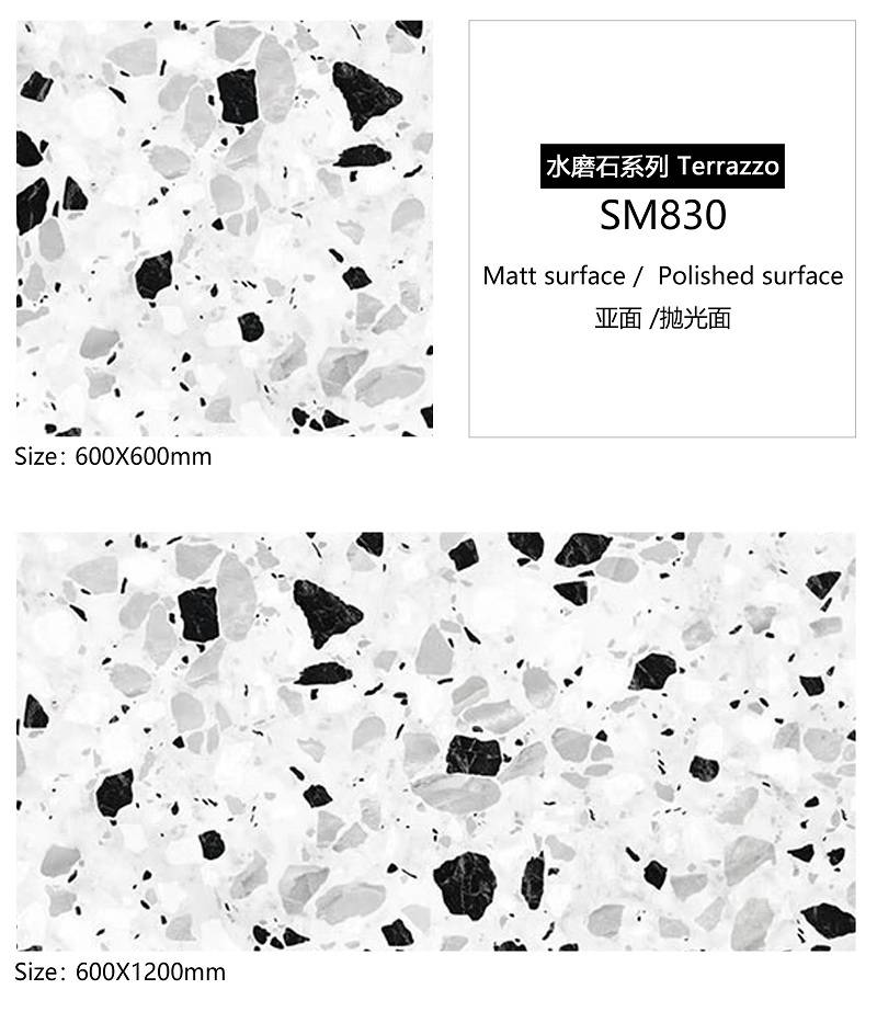 SM830 - 副本 (2)