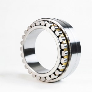 Double Row Cylindrical Roller Bearing OD：200mm