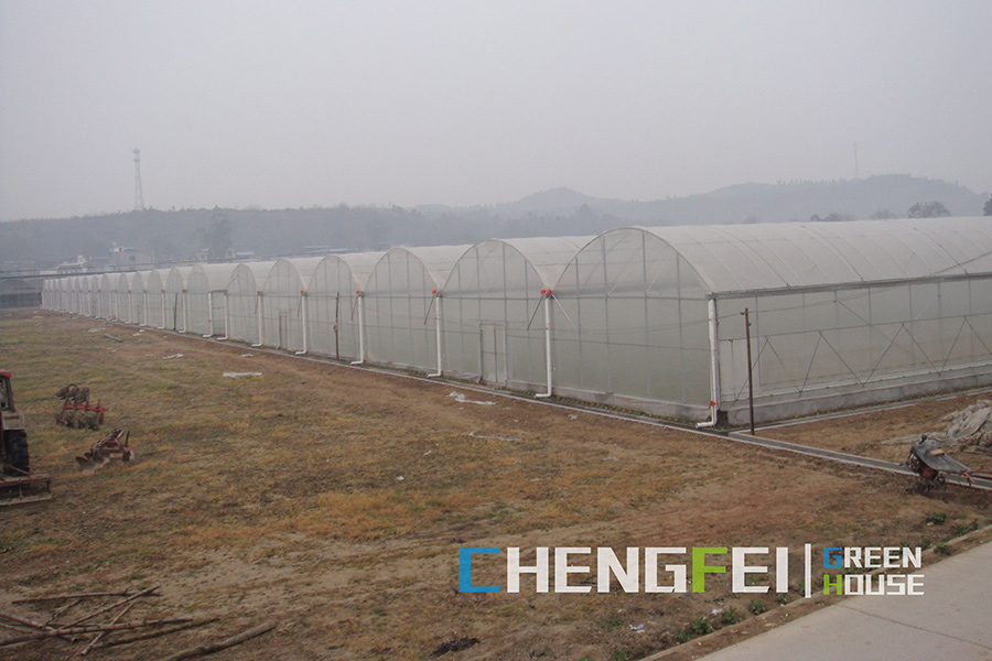 Agricultural multi-span plastic film greenhouse