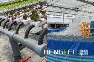 New Arrival China Hydroponic Rolling Benches - Commercial modular aquaponics system used in greenhouse – Chengfei