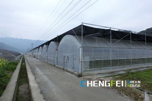 OEM/ODM Supplier Plastic Film Greenhouse - Commercial plastic green house with aquaponics – Chengfei