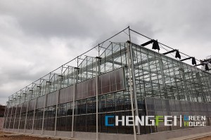 Top Suppliers Multi-Span Greenhouse - Venlo prefab frosted glass greenhouse – Chengfei