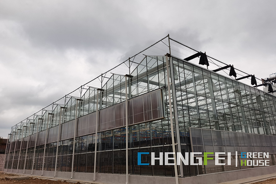Venlo prefab frosted glass greenhouse