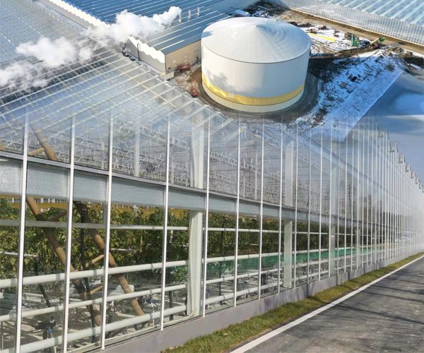 How to save the operating cost of a glass greenhouse in winter