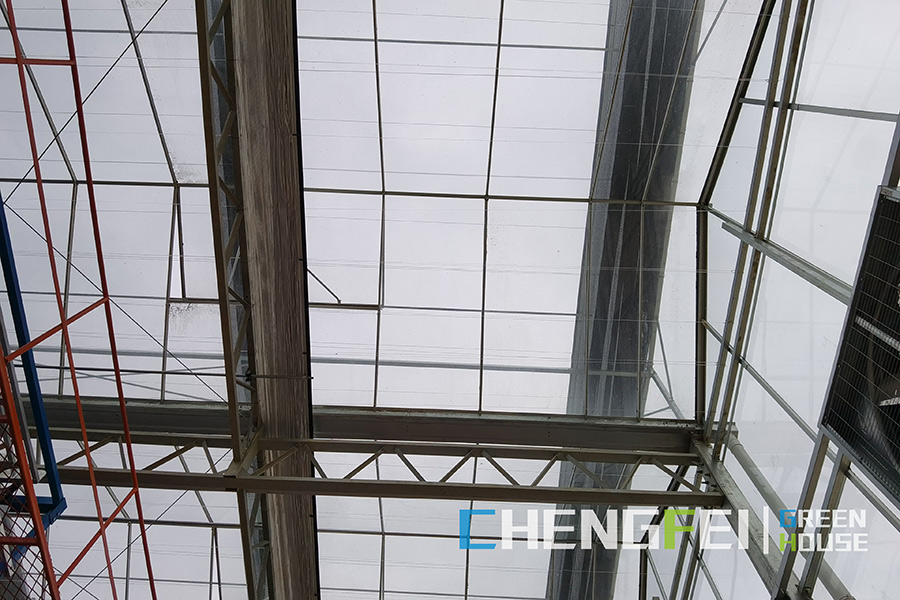Venlo prefab frosted glass greenhouse