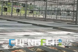 OEM Manufacturer Commercial Aquaponics - Mental structure rolling benches for growing – Chengfei