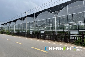 Factory made hot-sale Cannabis Blackout Greenhouse - Multi-span plastic film vegetable greenhouse – Chengfei