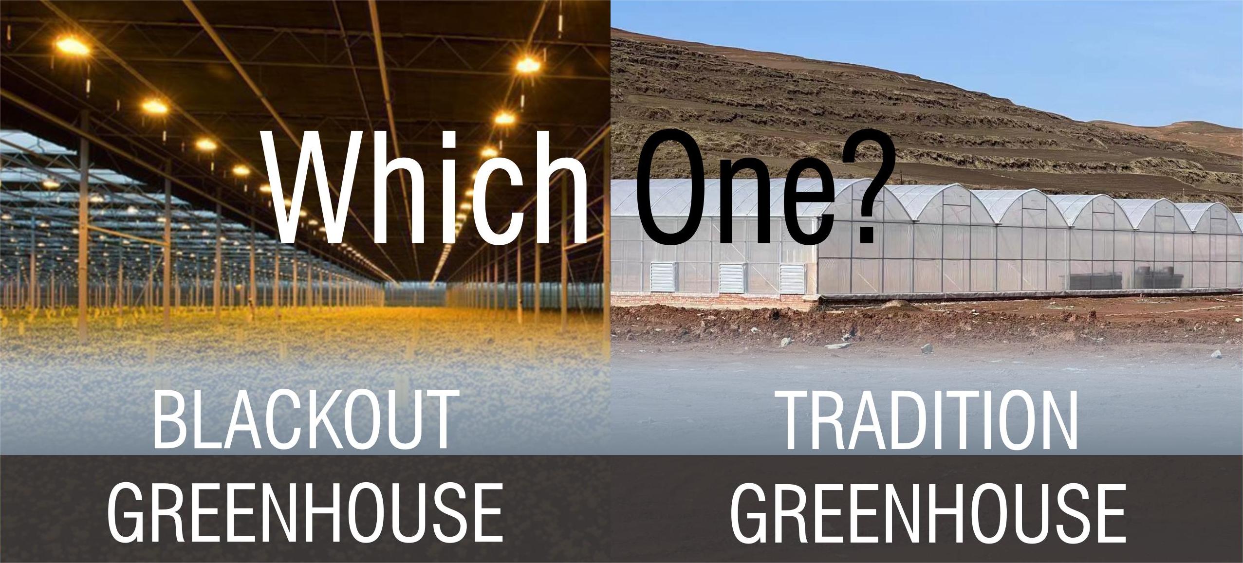Shaping Your Success: Blackout Greenhouse vs. Traditional Greenhouse for Growers