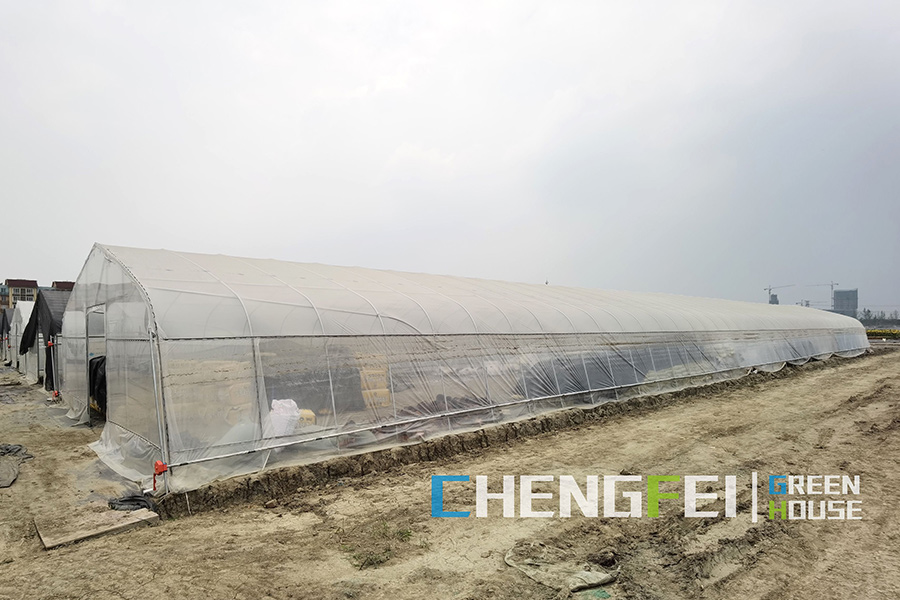 Chinese wholesale Greenhouse Fabric Canada - Plastic Film Tunnel Greenhouse for vegetables – Chengfei