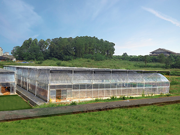 Plastic film greenhouse project in Chongqing, China