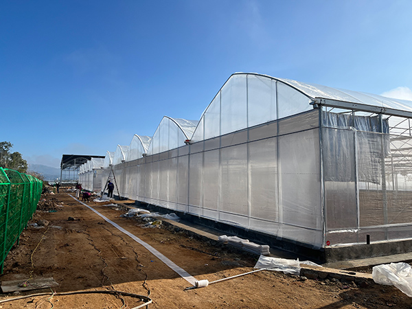 Plastic film greenhouse project in Gansu, China