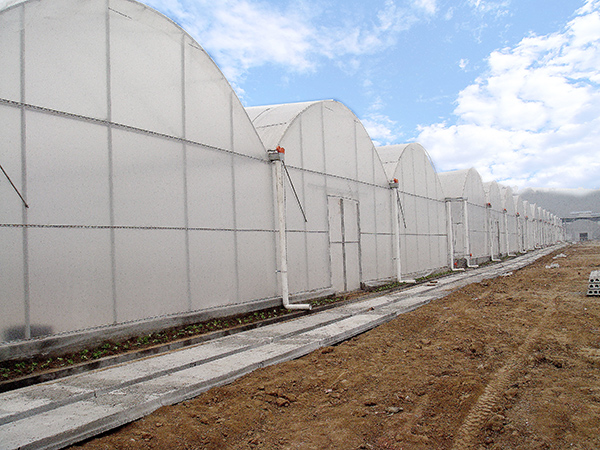 Plastic film greenhouse project in Reunion