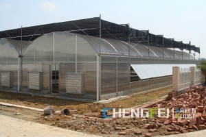 Low MOQ for Greenhouse Building Material - Multi-span polycarbonate green house sales – Chengfei