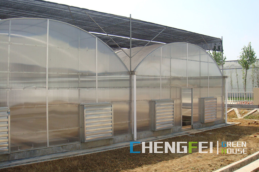 Commercial round arch PC sheet greenhouse