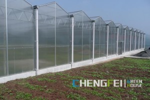 OEM/ODM Manufacturer Aquaponics Greenhouse - Agricultural polyurethane greenhouse supplier – Chengfei