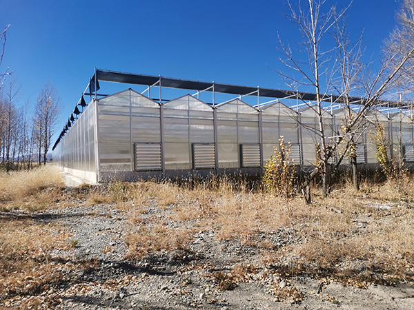 Polycarbonate greenhouse project in Uzbekistan