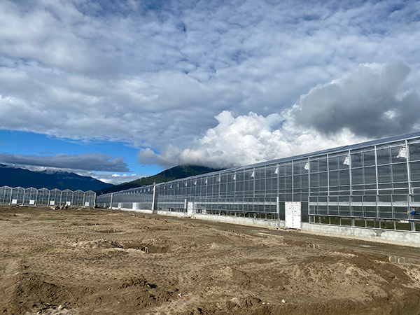 Polycarbonate greenhouse project in Tibet, China