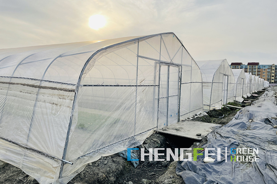 Factory Price Marijuana Greenhouse - Simple Structure hot-dip galvanized tunnel greenhouse – Chengfei
