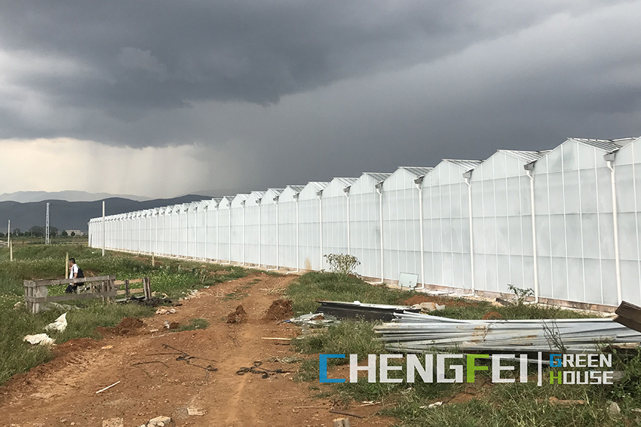 Smart large tempered glass greenhouse