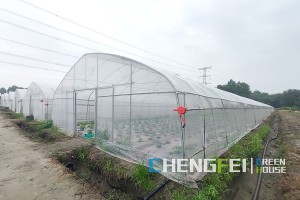 OEM Manufacturer Build Greenhouse - Used tunnel Film Flowers Greenhouse price – Chengfei