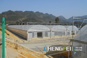Factory directly Sinking Type Sunlight Greenhouse - Vegetable film greenhouse with ventilation system – Chengfei