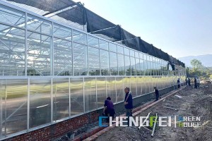 OEM/ODM Supplier Plastic Film Greenhouse - Venlo multi-span commercial glass greenhouse – Chengfei