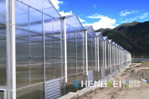 China Factory for Single-Span Greenhouse - Venlo agricultural polycarbonate greenhouse – Chengfei