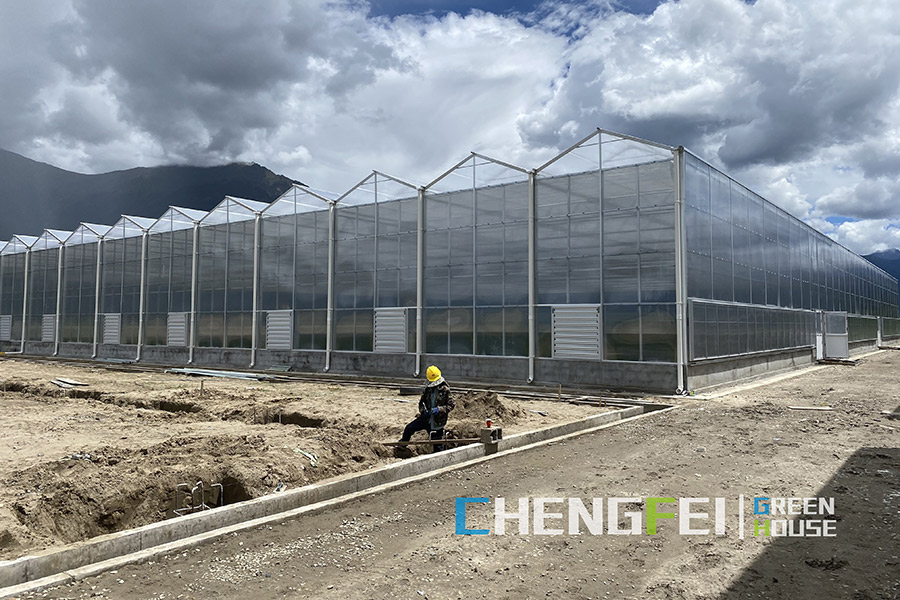 Best-Selling Large Polycarbonate Galvanized Steel Pipe Frame Greenhouse