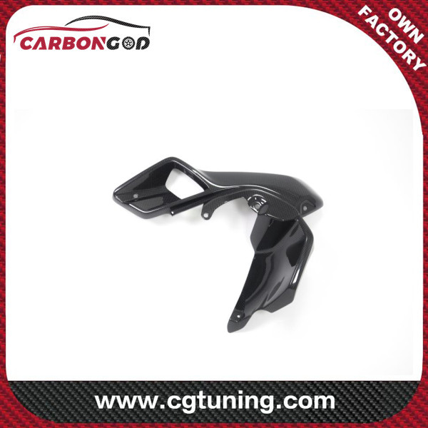 CARBON FIBER AIRTUBE LEFT (UPPER WATERCOOLER COVER)  – BMW R 1200 GS (LC FROM 2013)