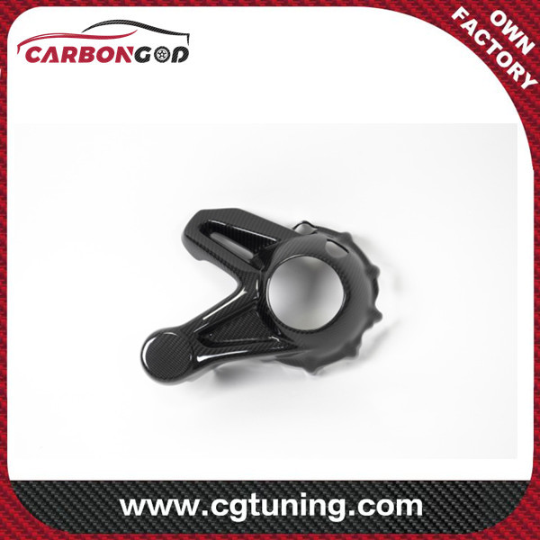 CARBON FIBER BEVEL DRIVE HOUSING PROTECTOR (MOUNTING WITH REAR SPLASH GUARD) BMW R 1250 GS / R 1250 R