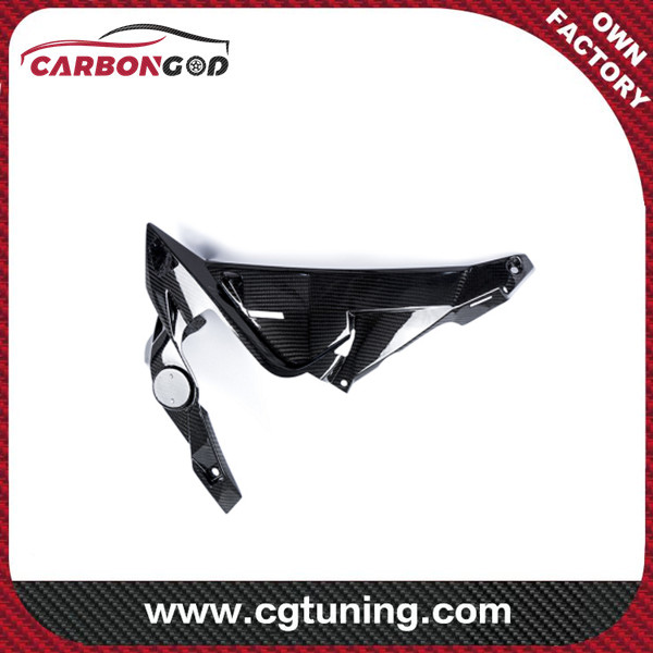 CARBON FIBER WATERCOOLER COVER RIGHT SIDE  – BMW S 1000 R MY FROM 2014