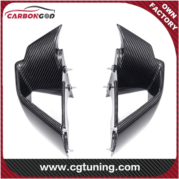 CARBON FIBER WINGLETKIT FOR BMW S 1000 RR FROM 2019