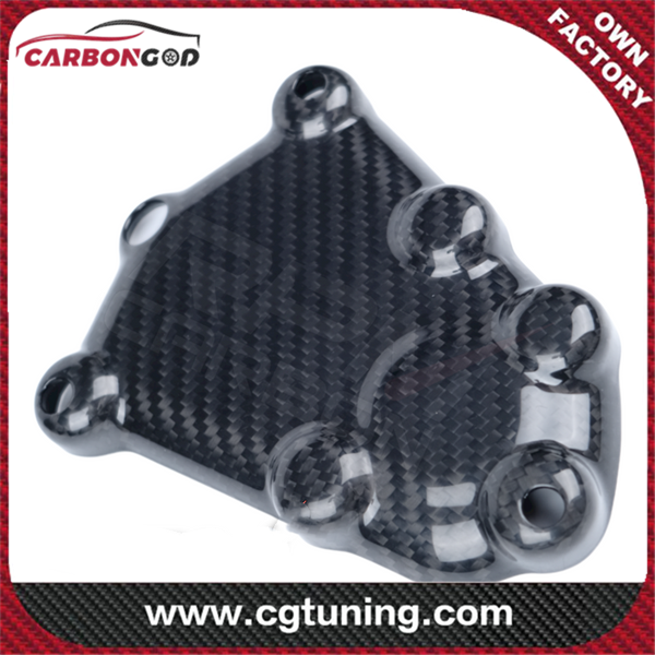 Carbon Fiber BMW S1000RR 2009-2014 Engine Cover