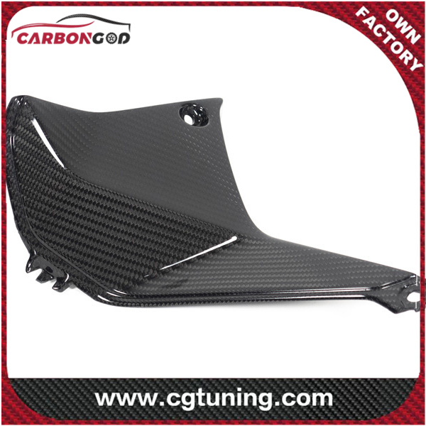 CARBON FIBER COVER NEAR THE INSTRUMENT LEFT SIDE BMW R 1250 RS´19