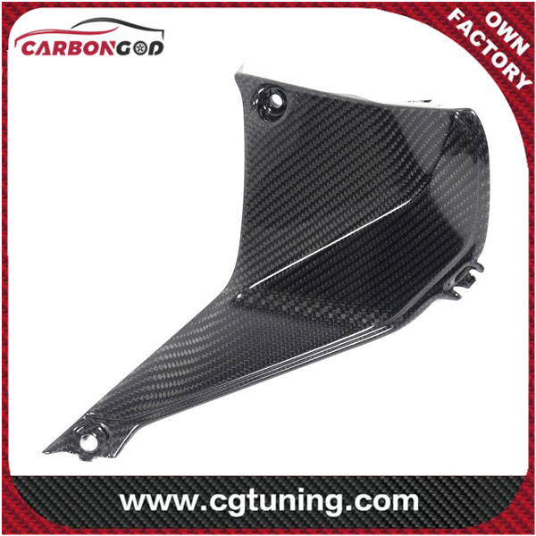 CARBON FIBER COVER NEAR THE INSTRUMENT RIGHT SIDE BMW R 1250 RS