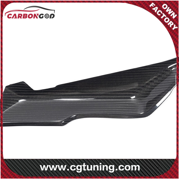 CARBON FIBER COVER UNDER THE FRONT FAIRING RIGHT SIDE BMW R 1250 RS