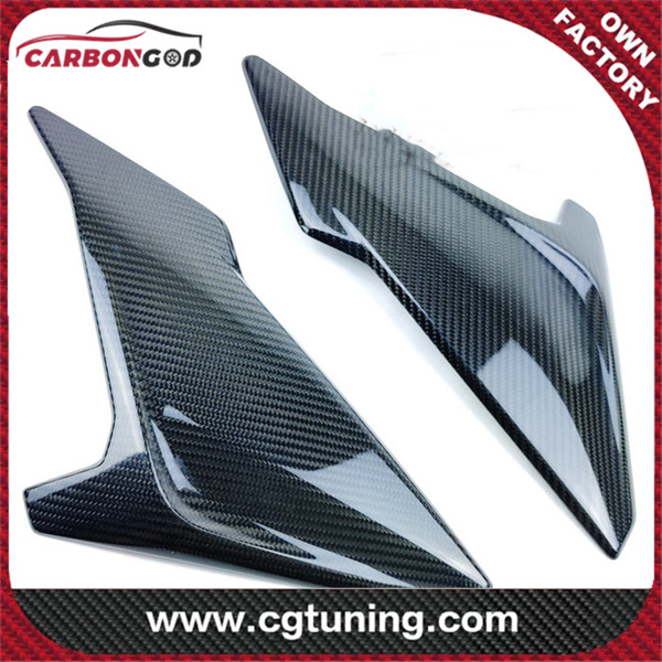 Carbon Fiber BMW S1000R Upper Side Panels