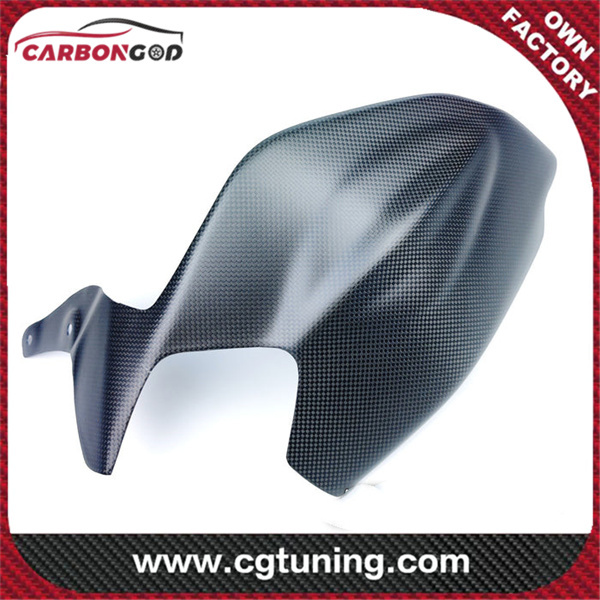 Carbon Fiber Ducati Panigale 1299 1199 V2 Swingarm Cover